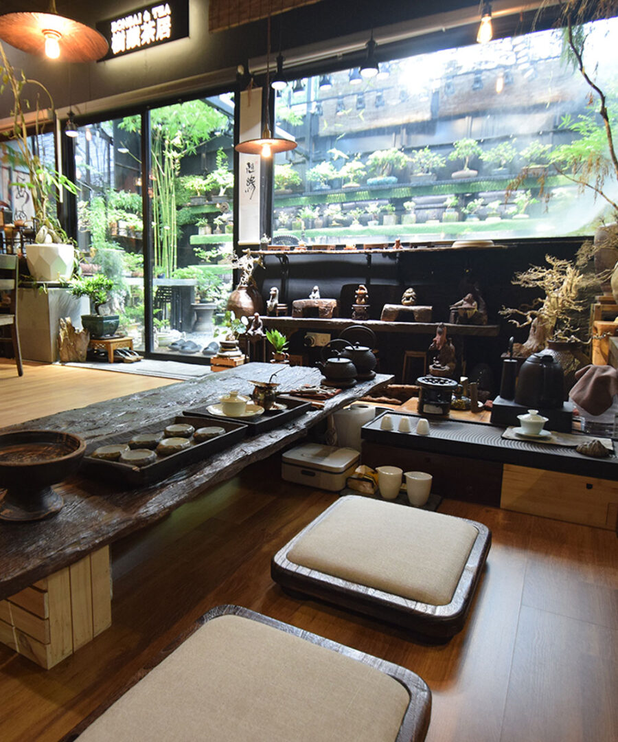 Bonsai Tree Malaysia | Chinese Tea Supplier - Bonsai & Tea